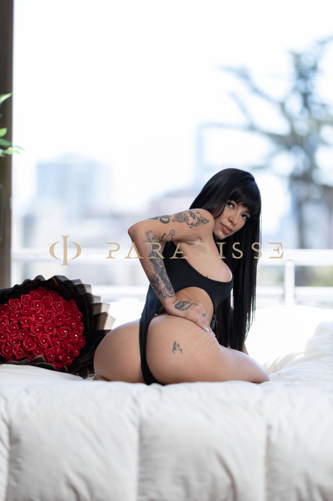 Escorts VIP Paradisse - Kendal